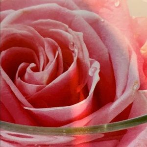 Meet your Posher, Marissa